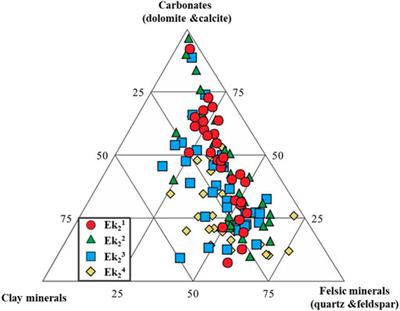 Geochemical, Mineralogical, and Lithofacies Characterizations of Lacustrine Shale: A Case Study From the Cangdong Sag, Bohai Bay Basin, China